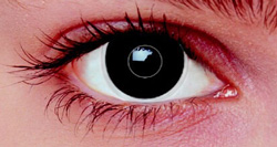 Eyebooster - Die qualitativsten Eyebooster auf einen Blick!